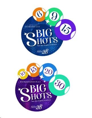 Big Shots Promo for Website.jpg